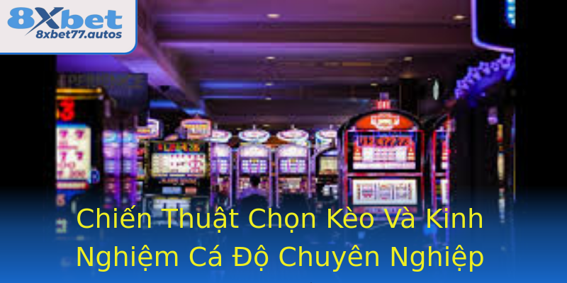 Chiến Thuật Chọn Kèo Và Kinh Nghiệm Cá Độ Chuyên Nghiệp Chiến Thuật Chọn Kèo Và Kinh Nghiệm Cá Độ Chuyên Nghiệp
