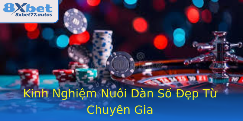Kinh Nghiệm Nuôi Dàn Số Đẹp Từ Chuyên Gia Kinh Nghiệm Nuôi Dàn Số Đẹp Từ Chuyên Gia